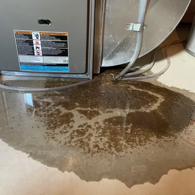 Appliance Leak Cleanup in Harvey, IL